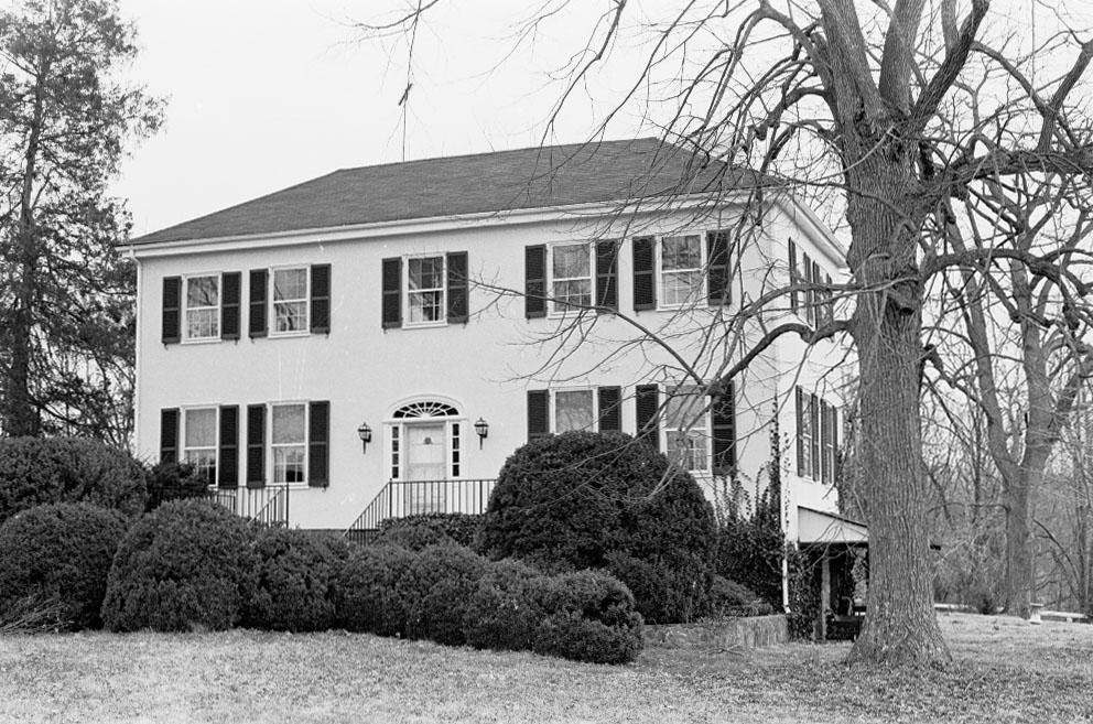 Buena Vista 1980